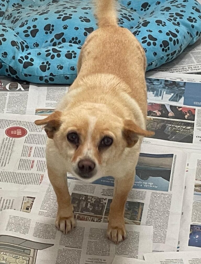 multimedia-foto87445-710-1