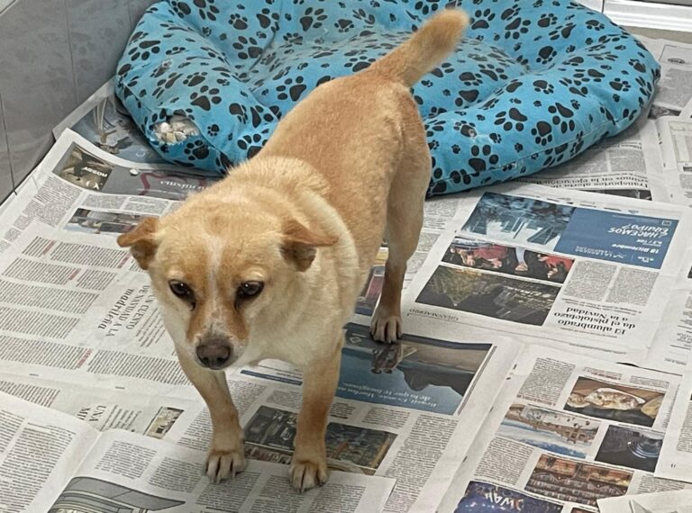 multimedia-foto87446-710-1