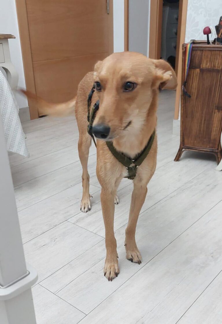 multimedia-foto87455-599-1