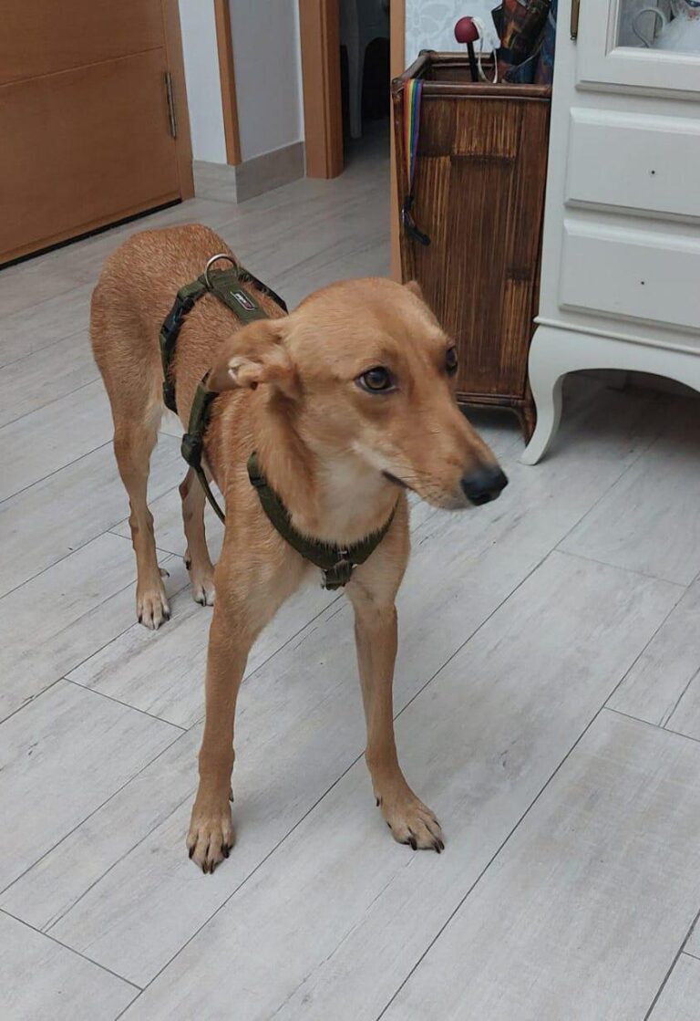 multimedia-foto87456-599-1