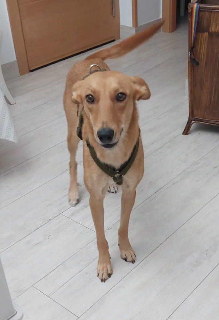 multimedia-foto87457-600-1