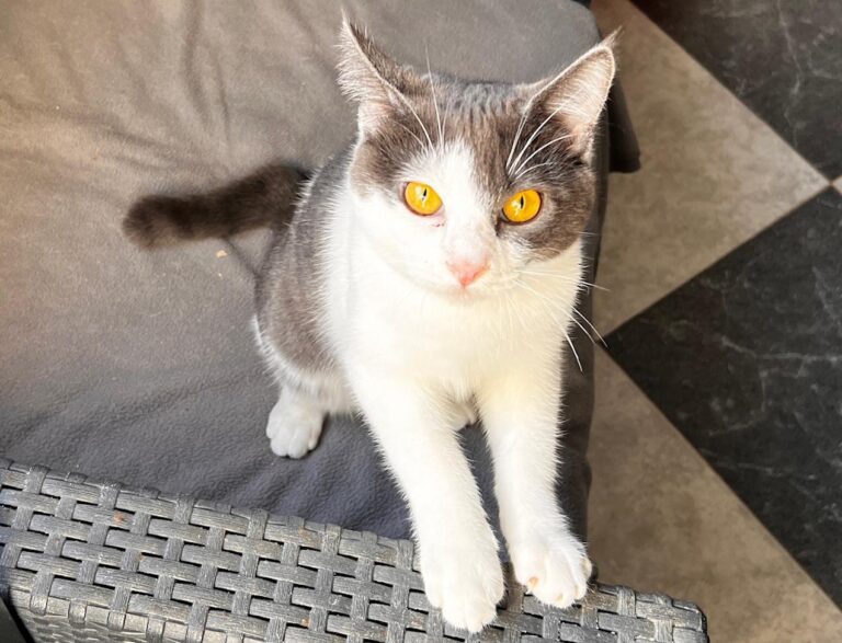 multimedia-foto87462-561-1