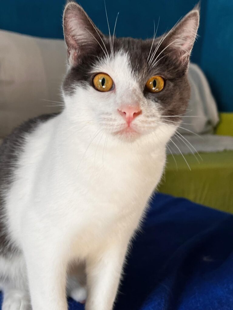 multimedia-foto87465-562-1