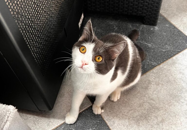 multimedia-foto87467-562-1