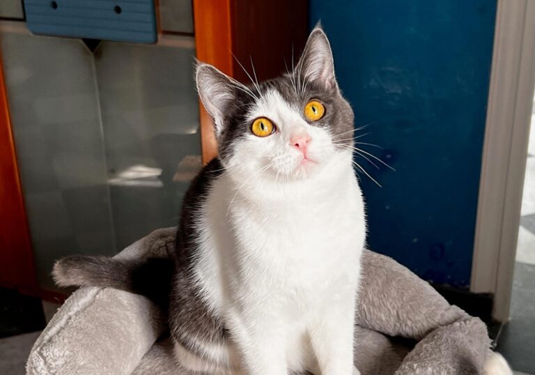 multimedia-foto87468-562-1