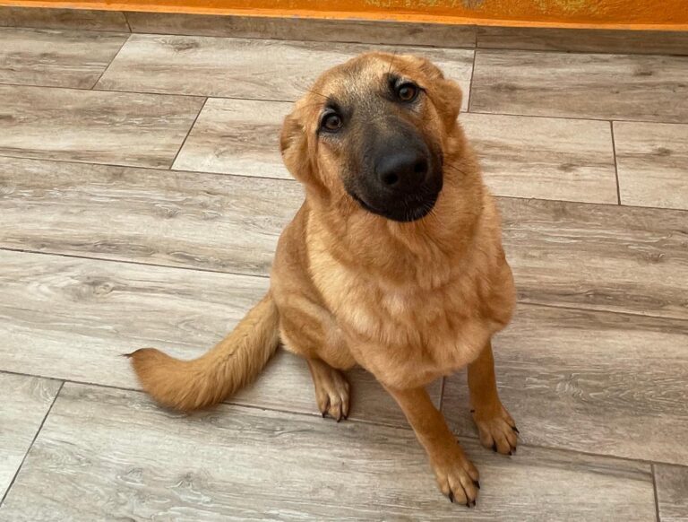 multimedia-foto87493-437-1