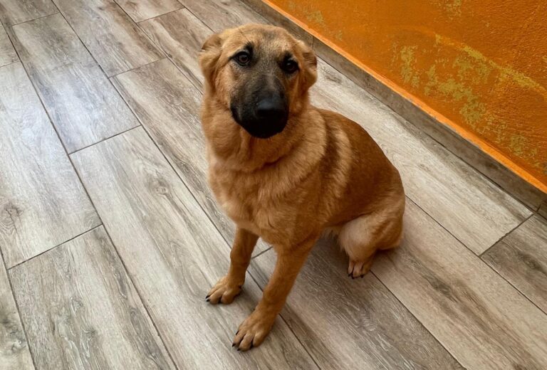 multimedia-foto87495-437-1