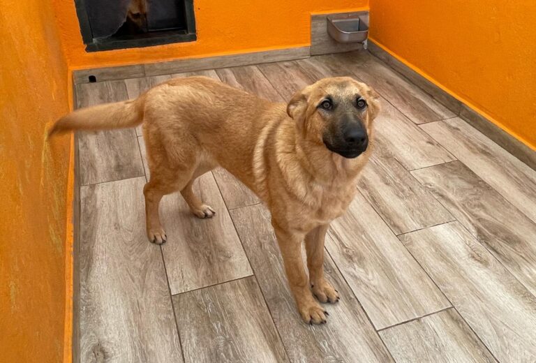 multimedia-foto87496-437-1