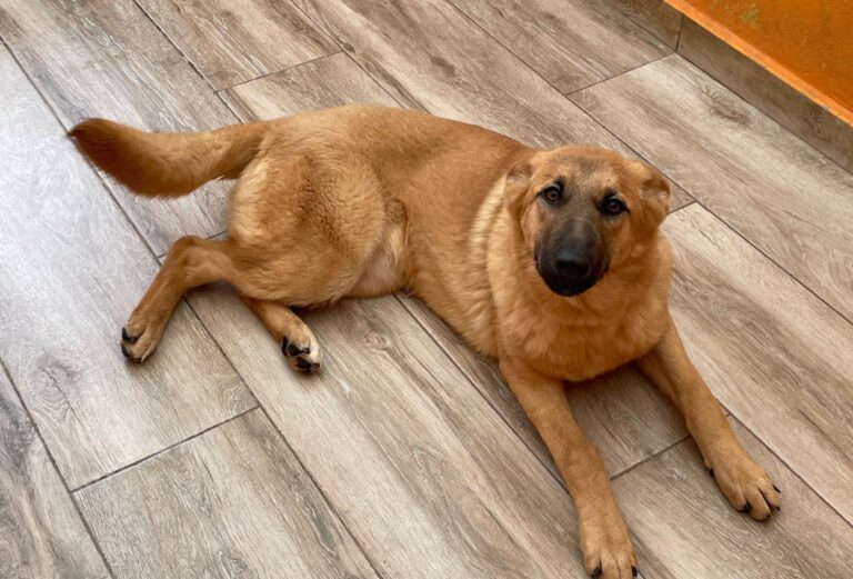 multimedia-foto87497-438-1