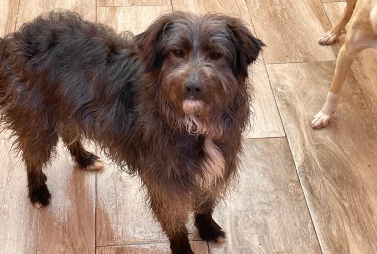 multimedia-foto87524-643-1