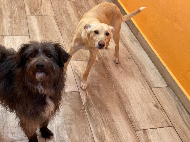 multimedia-foto87525-643-1