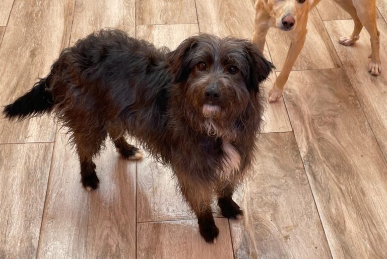 multimedia-foto87526-643-1