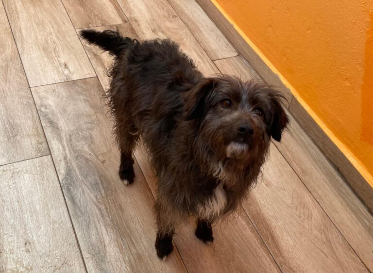 multimedia-foto87527-644-1