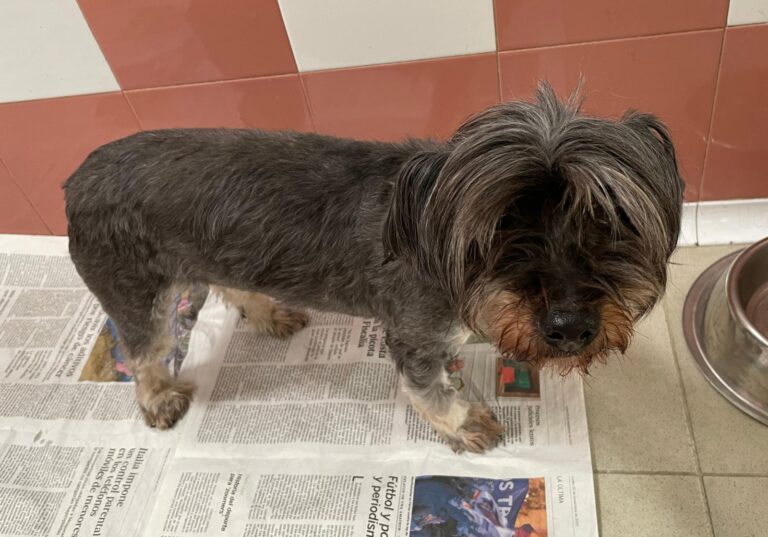 multimedia-foto87531-249-1