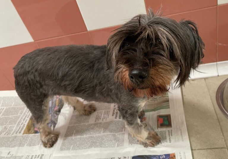 multimedia-foto87534-249-1