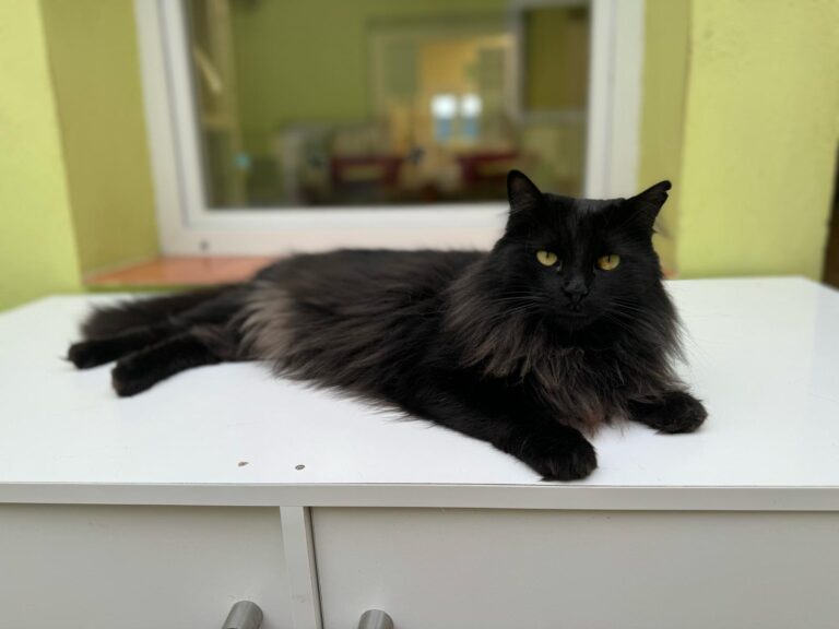 multimedia-foto87538-59-1