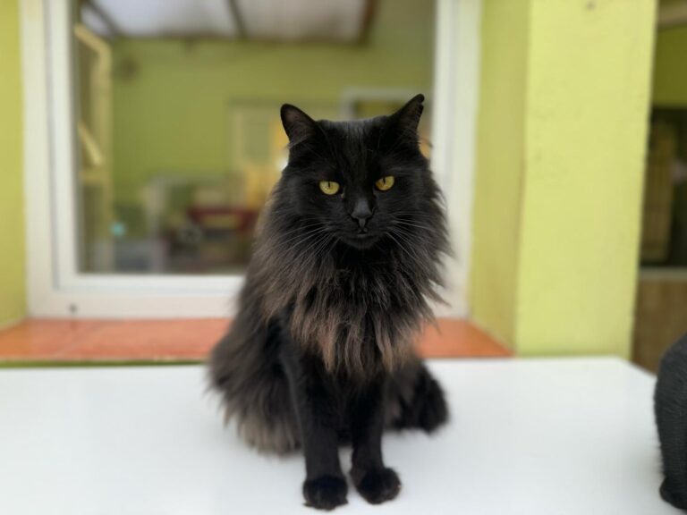 multimedia-foto87539-59-1