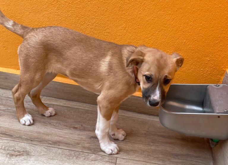 multimedia-foto87547-606-1