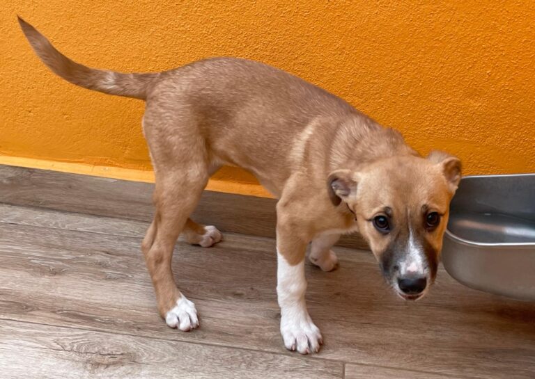 multimedia-foto87548-606-1