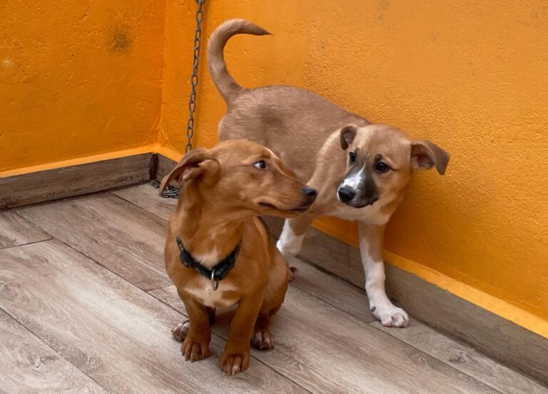 multimedia-foto87550-607-1