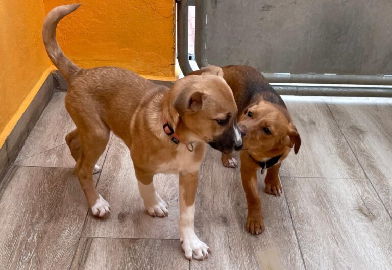 multimedia-foto87551-607-1