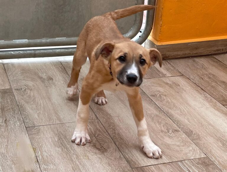 multimedia-foto87552-607-1