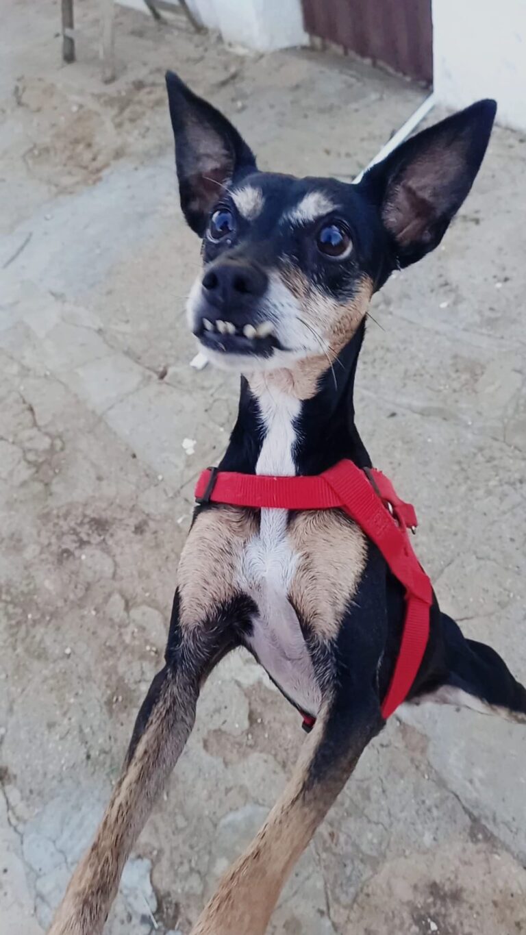 multimedia-foto87561-554-1