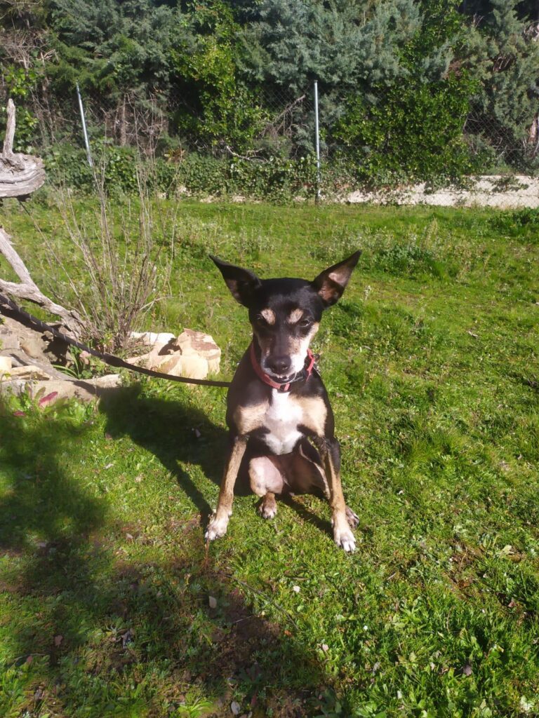 multimedia-foto87562-554-1