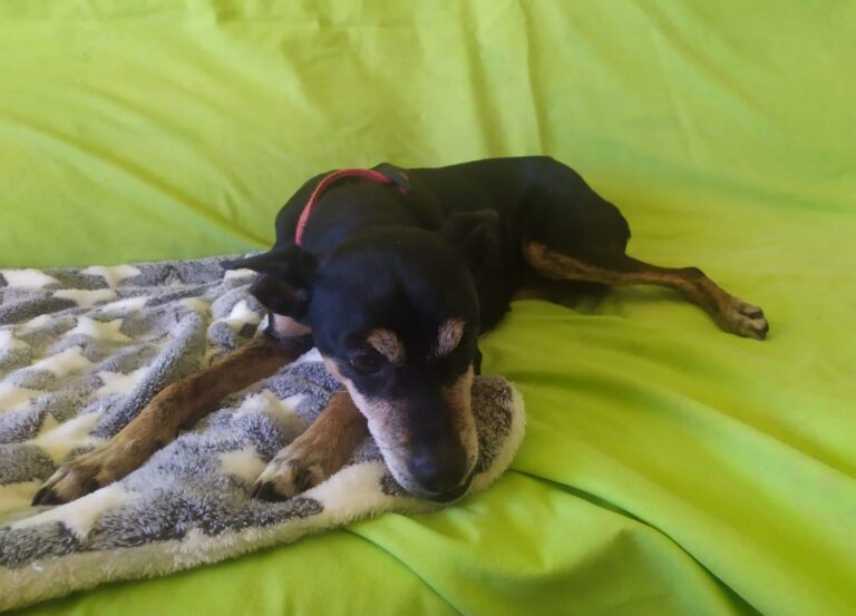 multimedia-foto87564-555-1