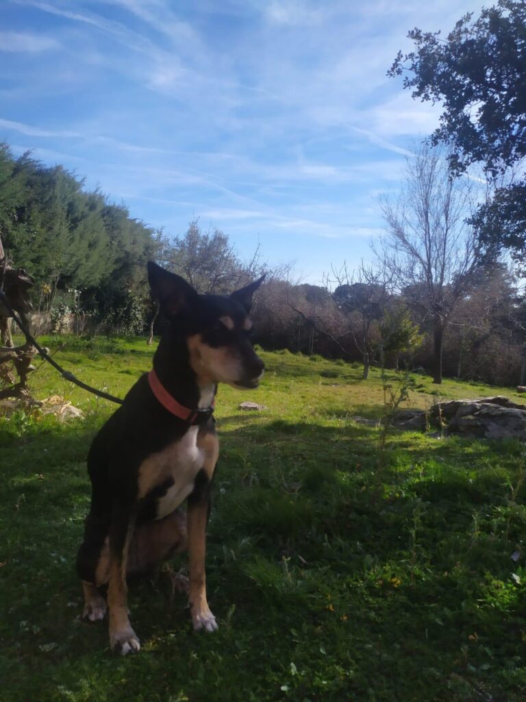 multimedia-foto87566-555-1