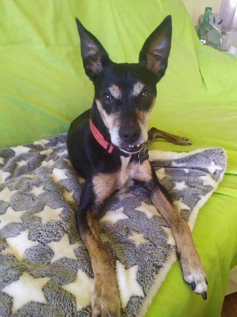 multimedia-foto87568-556-1