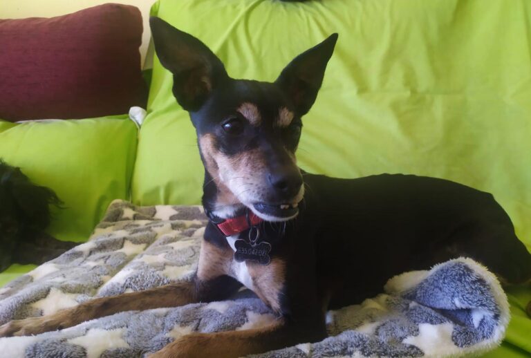 multimedia-foto87569-556-1