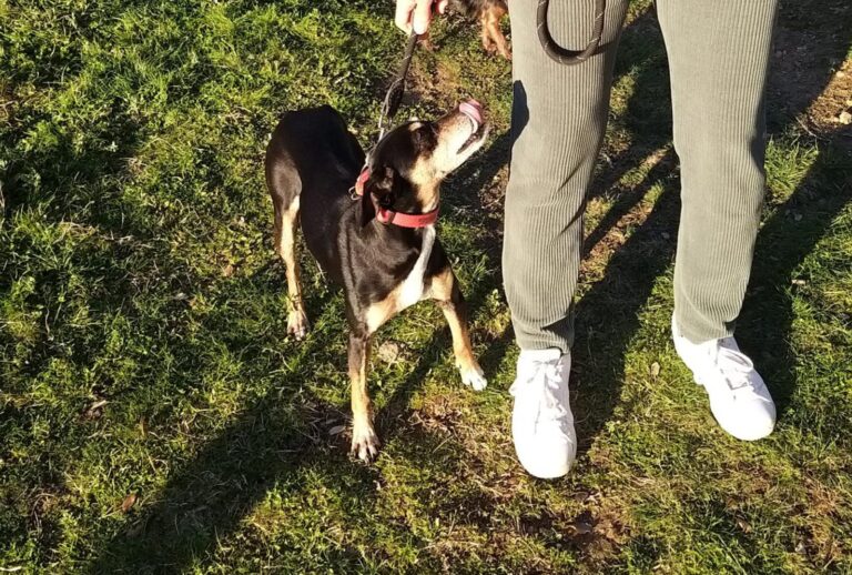 multimedia-foto87570-556-1