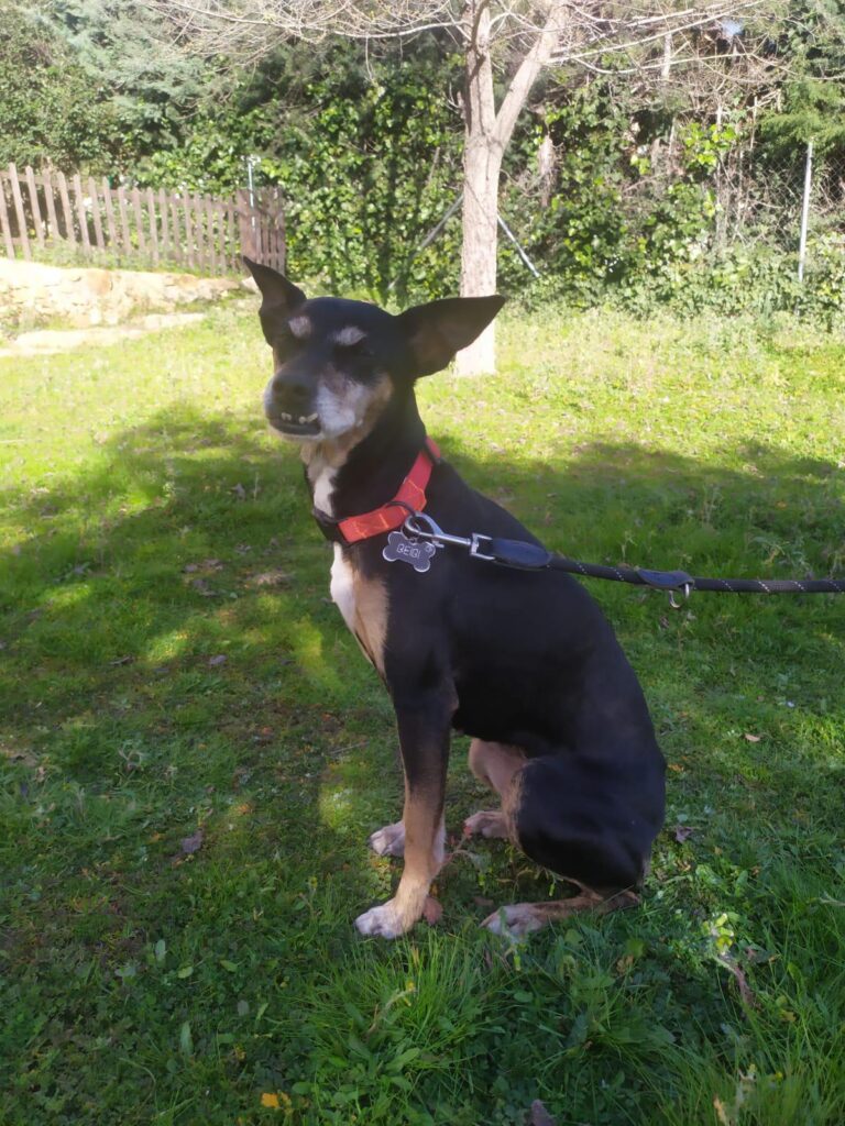 multimedia-foto87571-556-1