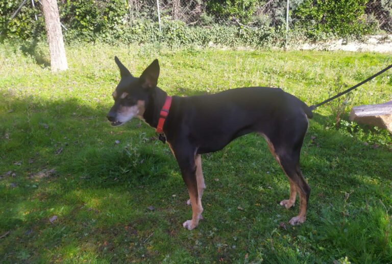 multimedia-foto87572-557-1