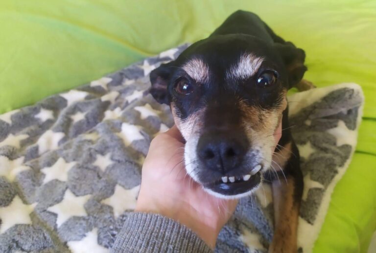 multimedia-foto87573-577-1