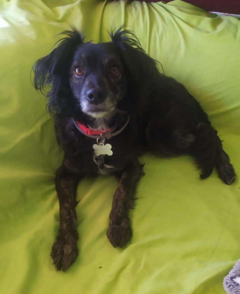 multimedia-foto87574-304-1