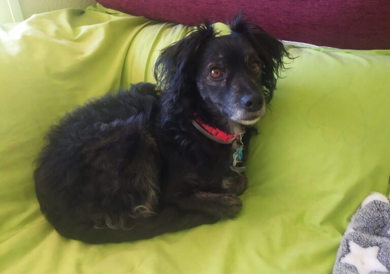 multimedia-foto87575-304-1