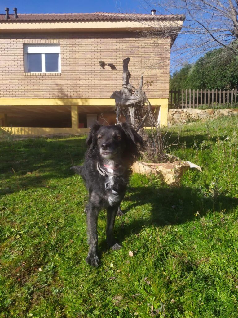 multimedia-foto87576-305-1