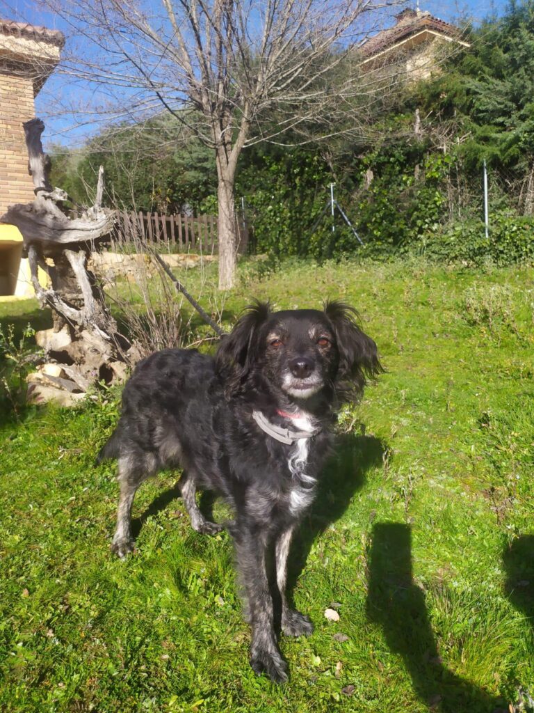 multimedia-foto87577-305-1