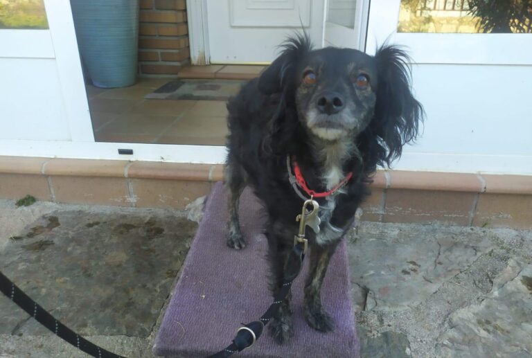 multimedia-foto87578-305-1