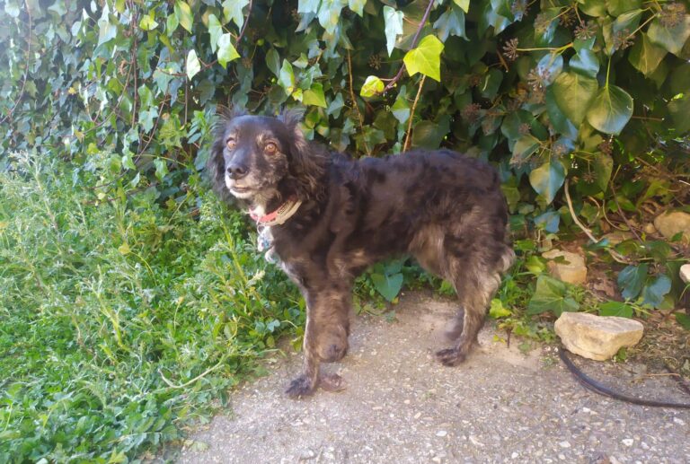 multimedia-foto87579-305-1