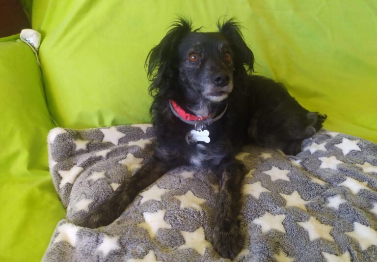 multimedia-foto87580-306-1