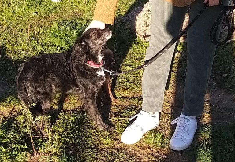 multimedia-foto87581-306-1