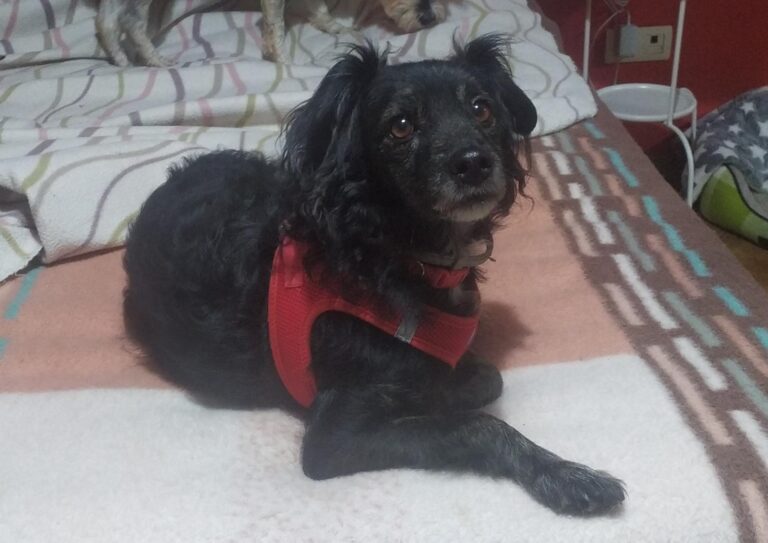 multimedia-foto87582-306-1