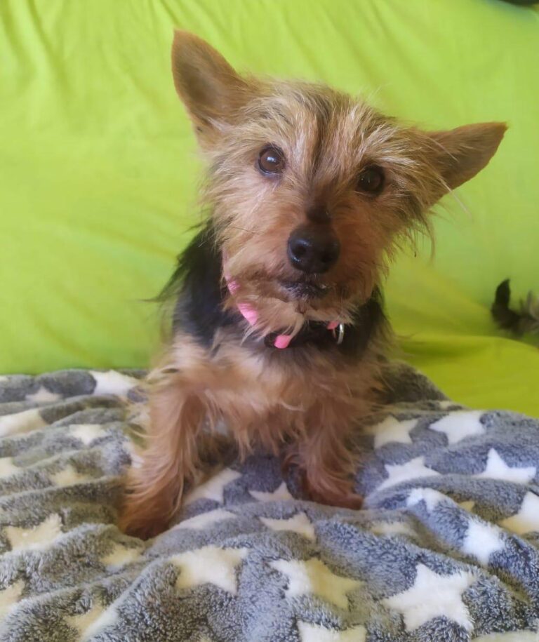 multimedia-foto87583-500-1