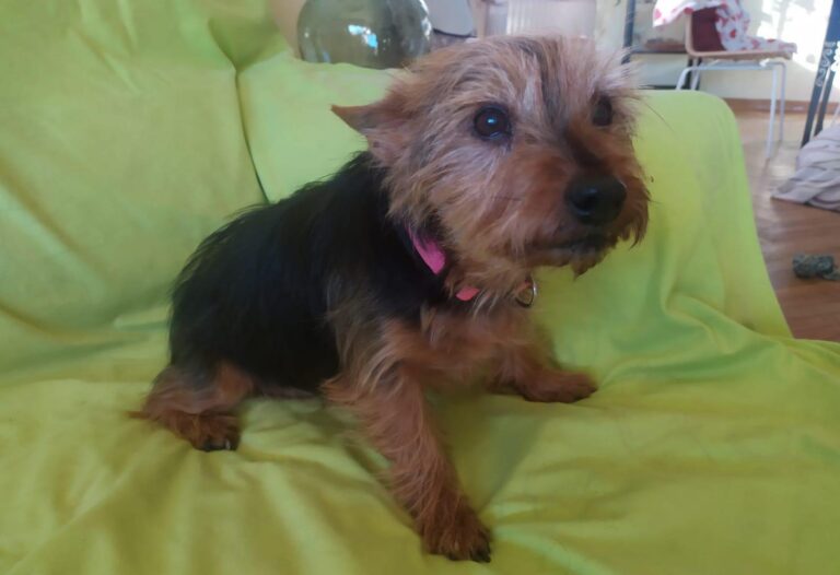 multimedia-foto87584-500-1