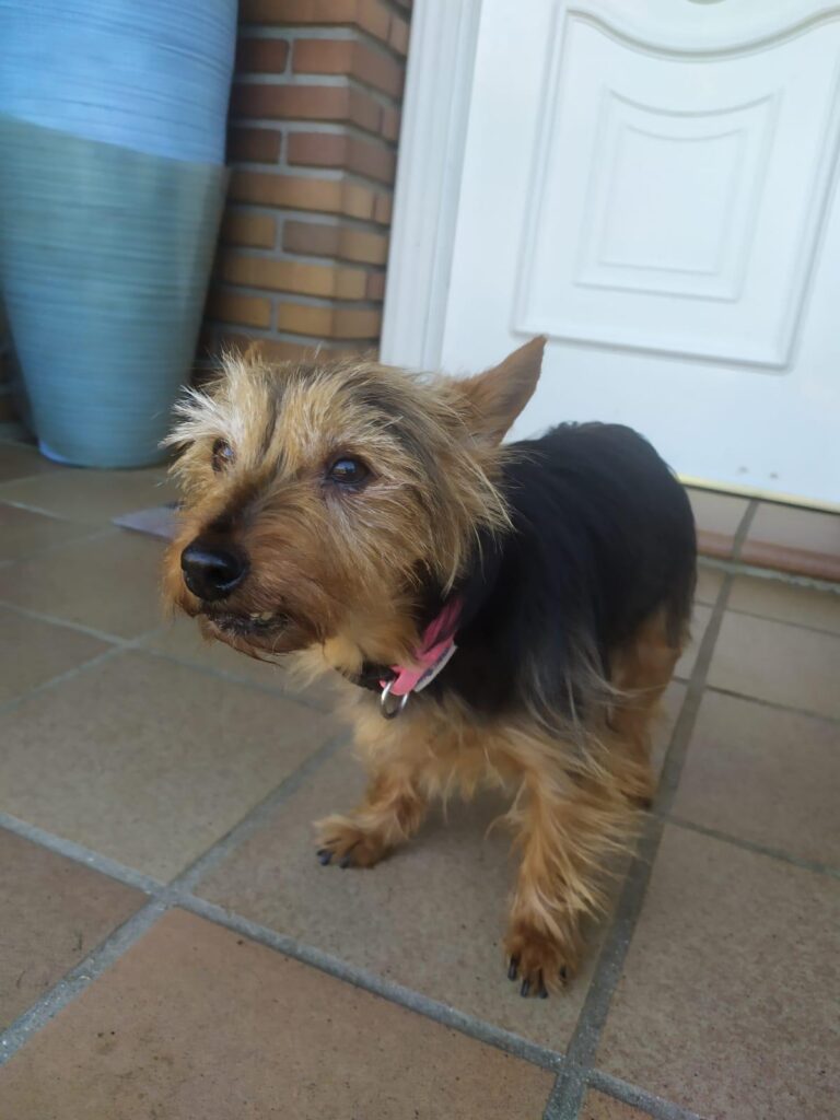 multimedia-foto87585-500-1