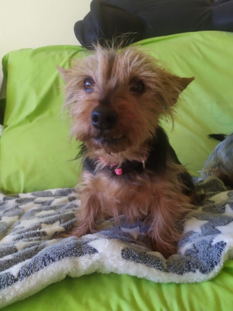 multimedia-foto87586-500-1