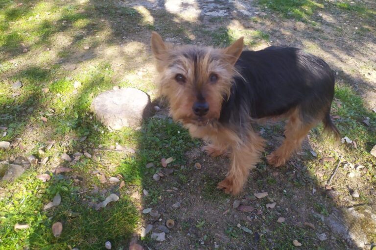 multimedia-foto87587-501-1